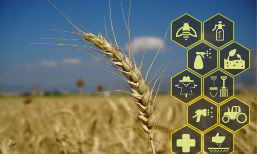 What Is Micronutrients Fertilizer? Importance, Types, and Benefits for Crop Growth